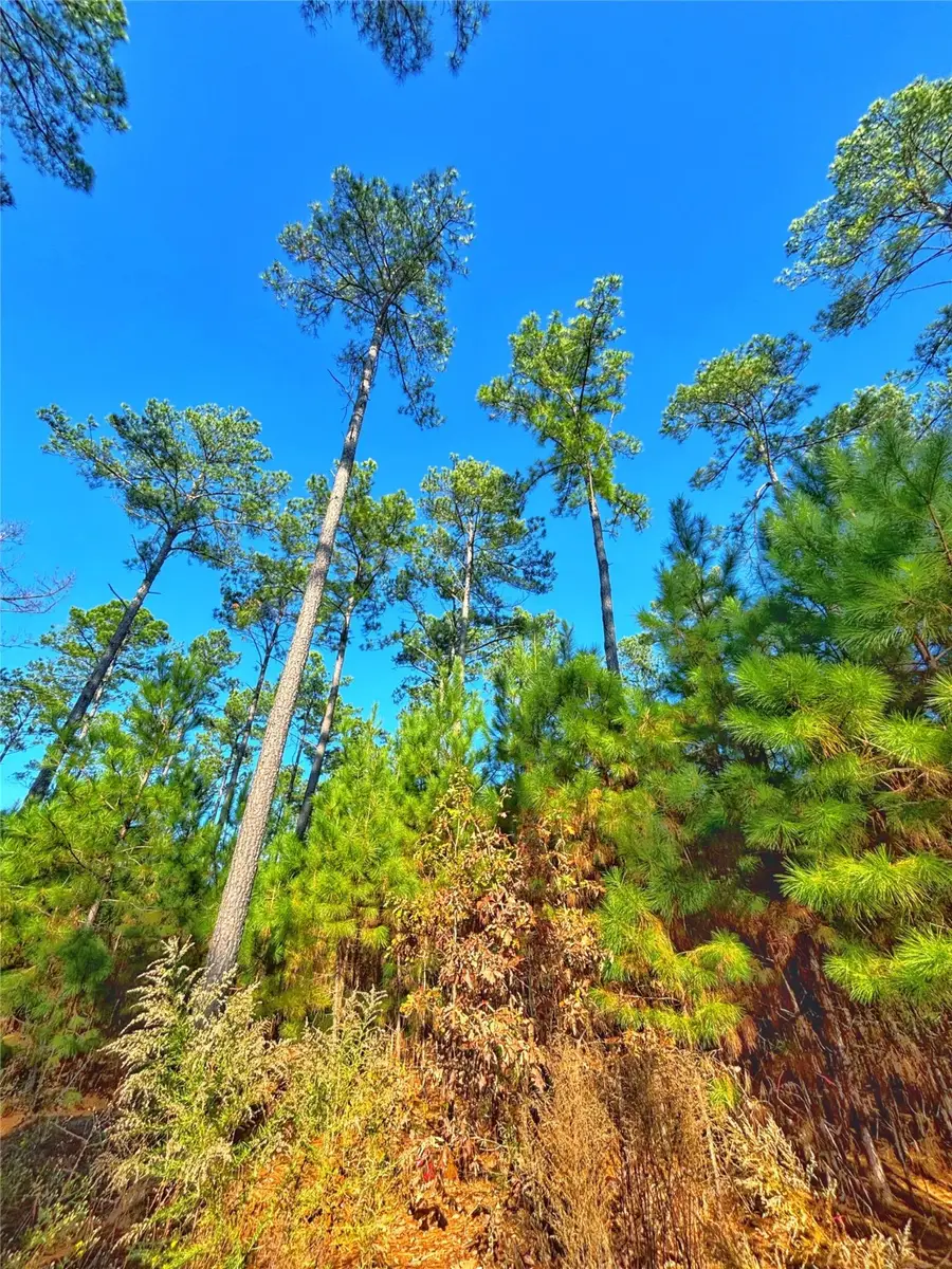 TBD Acr 157, Palestine, TX 75801 - Image #3