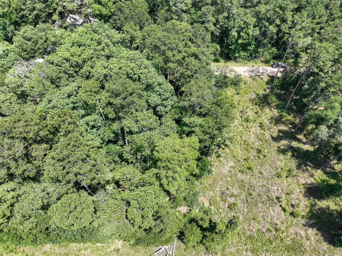 000 Fairway Dr, New Caney, TX 77357 - #1