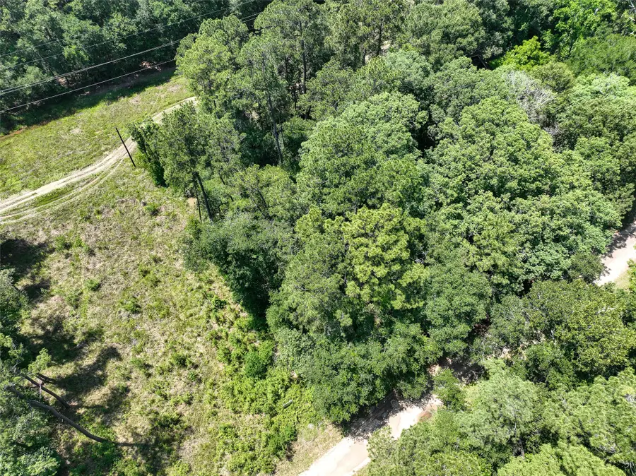 000 Fairway Dr, New Caney, TX 77357 - #3