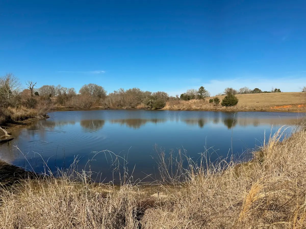 TBD Fcr 280, Oakwood, TX 75855 - #1