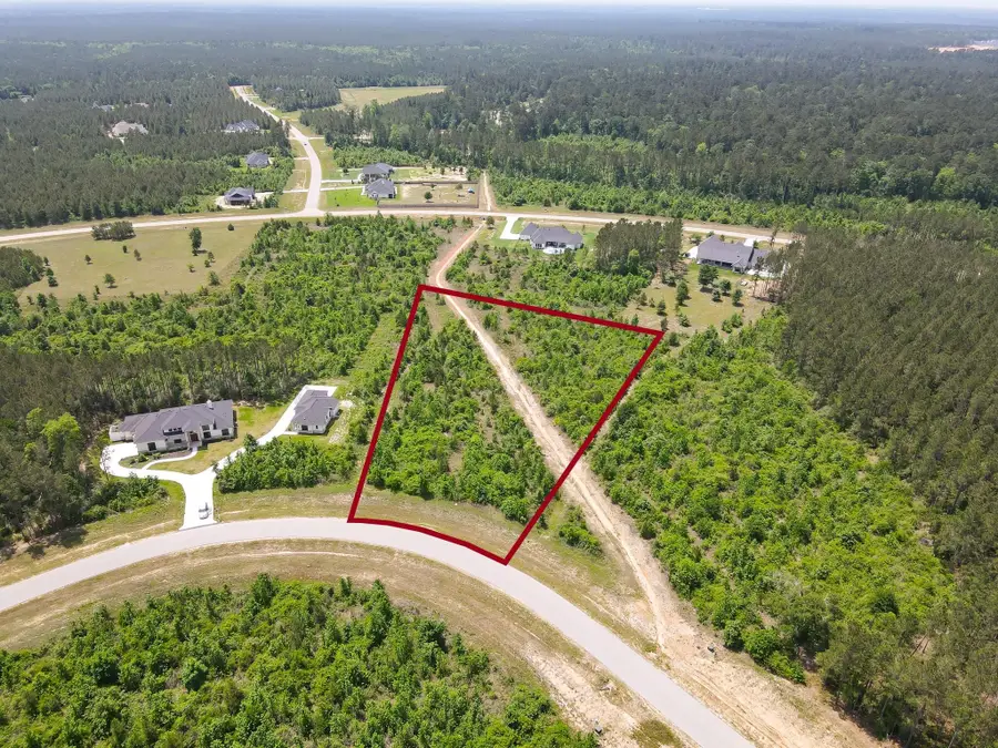 16089 Forest Mill Road, Willis, TX 77378 - #2