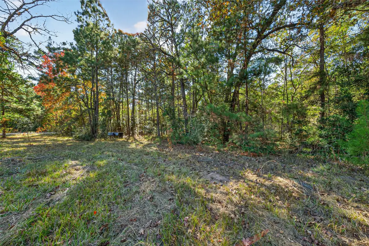 TBD Boars Head, Montgomery, TX 77316 - Image #1