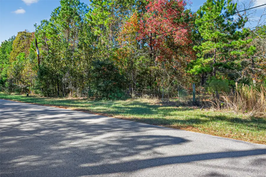 TBD Boars Head, Montgomery, TX 77316 - Image #2