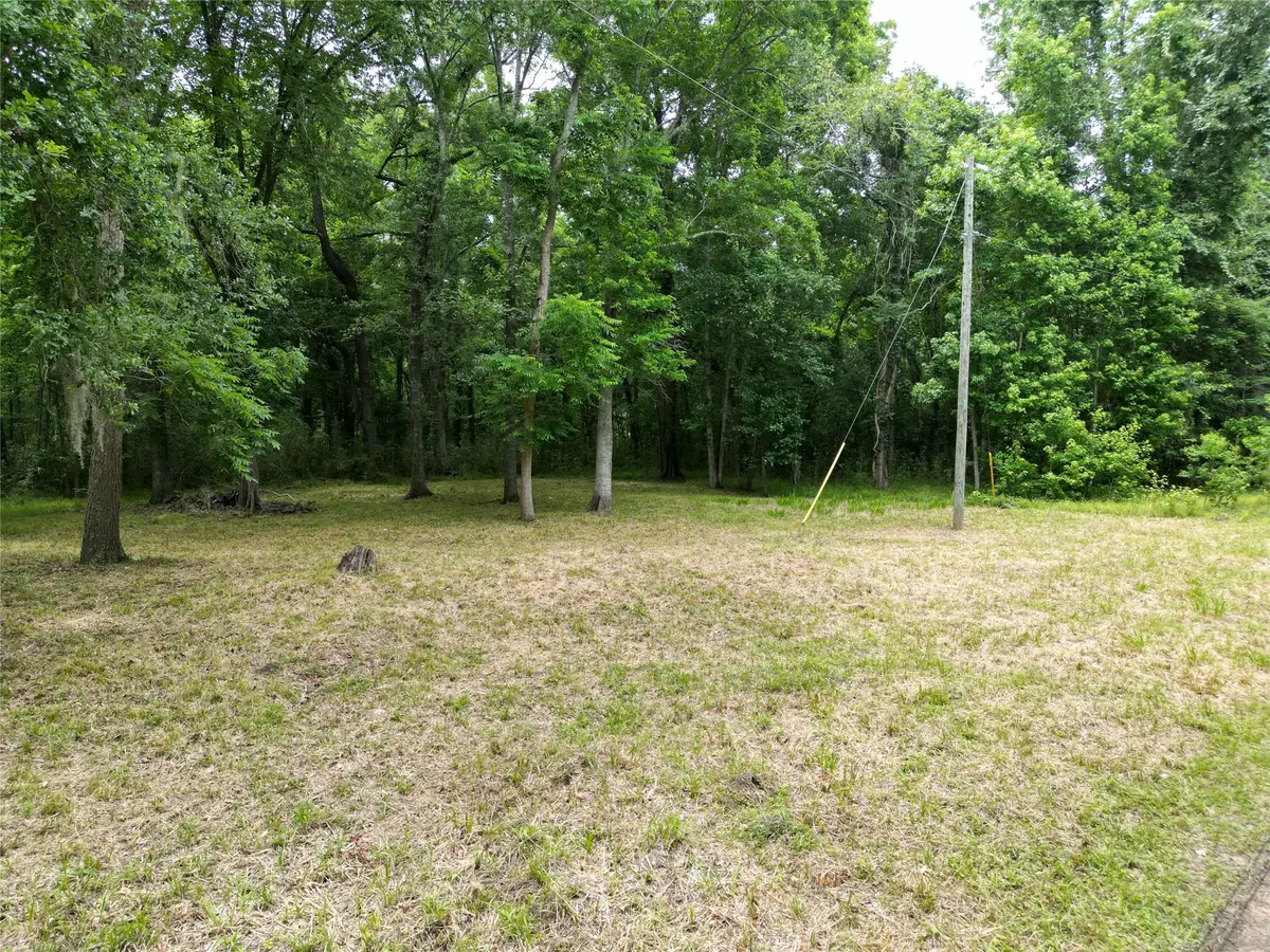 000 Miller/ Lakeview Dr, Cleveland, TX 77327 - #1
