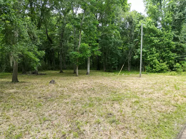 000 Miller/ Lakeview Dr, Cleveland, TX 77327