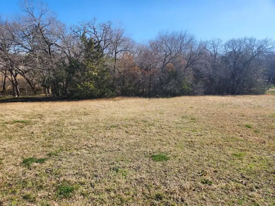 289 Chambers Drive, Alvarado, TX 76009 - Image #3