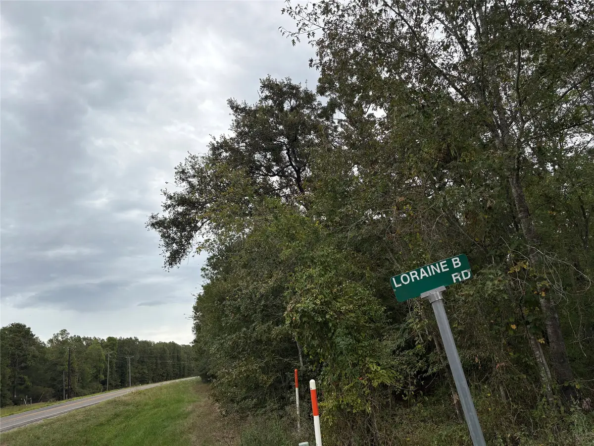 150 Loraine B Road, Point Blank, TX 77364 - #1