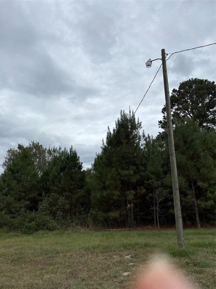 150 Loraine B Road, Point Blank, TX 77364 - #2