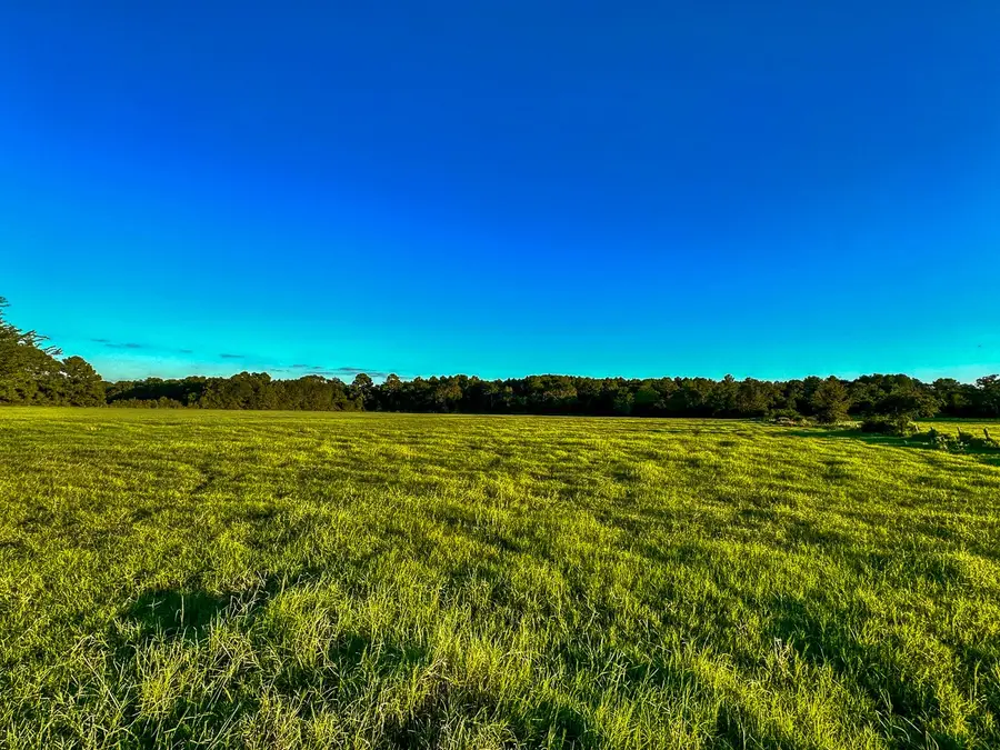 T-5 Hoke Road, Richards, TX 77873 - #2