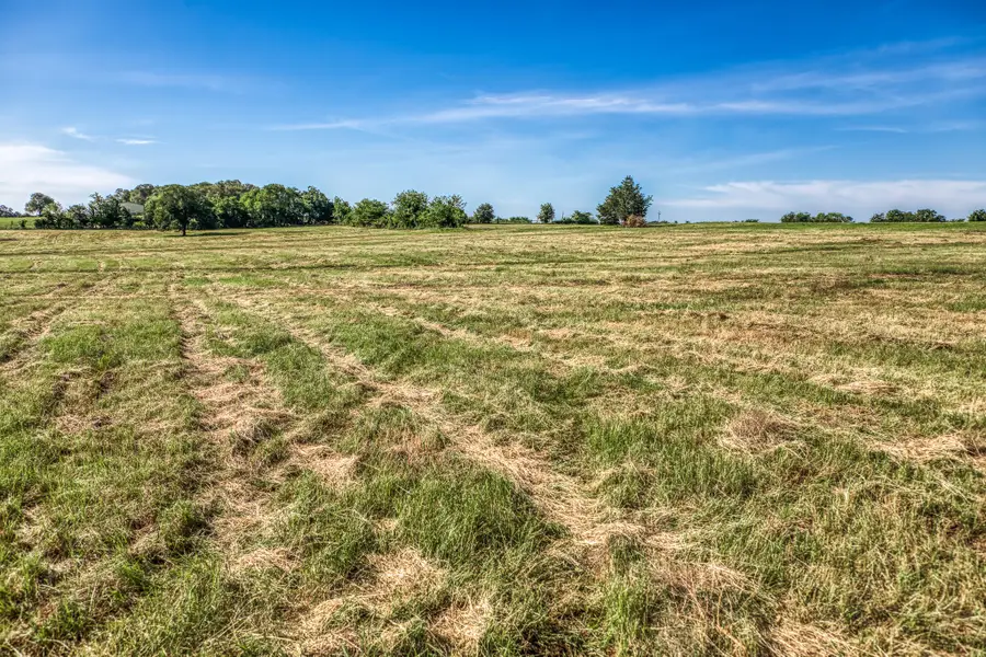 Tract 5 - 8145 Fm 390 E, Brenham, TX 77833 - #3