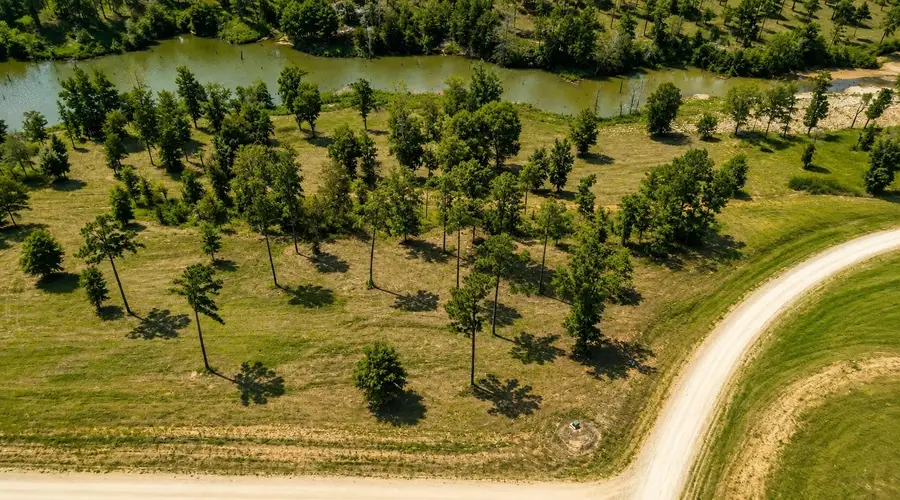 TBD Tranquility Road, Livingston, TX 77351 - #2