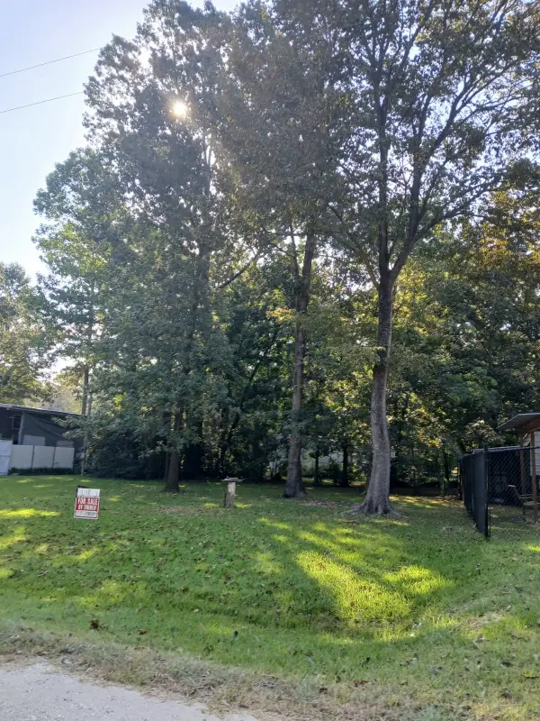 T B D Meridian, Livingston, TX 77351