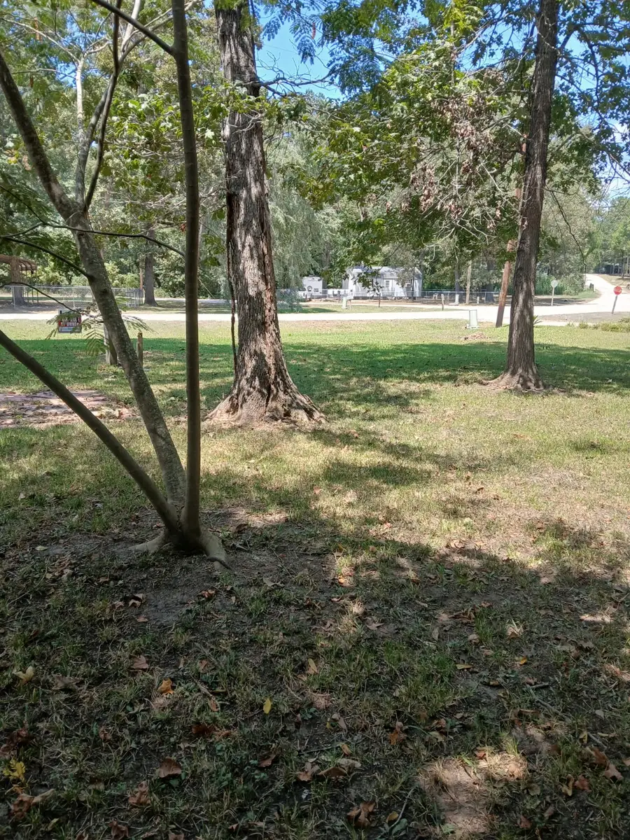 T B D Meridian, Livingston, TX 77351 - #3