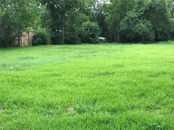 6219 Sherwood Drive, Houston, TX 77021