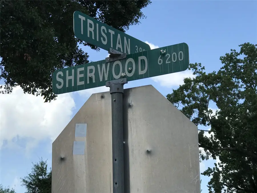 6219 Sherwood Drive, Houston, TX 77021 - #2