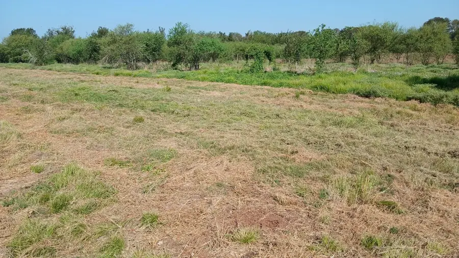 40485 Mt Zion Road, Pattison, TX 77423 - #2