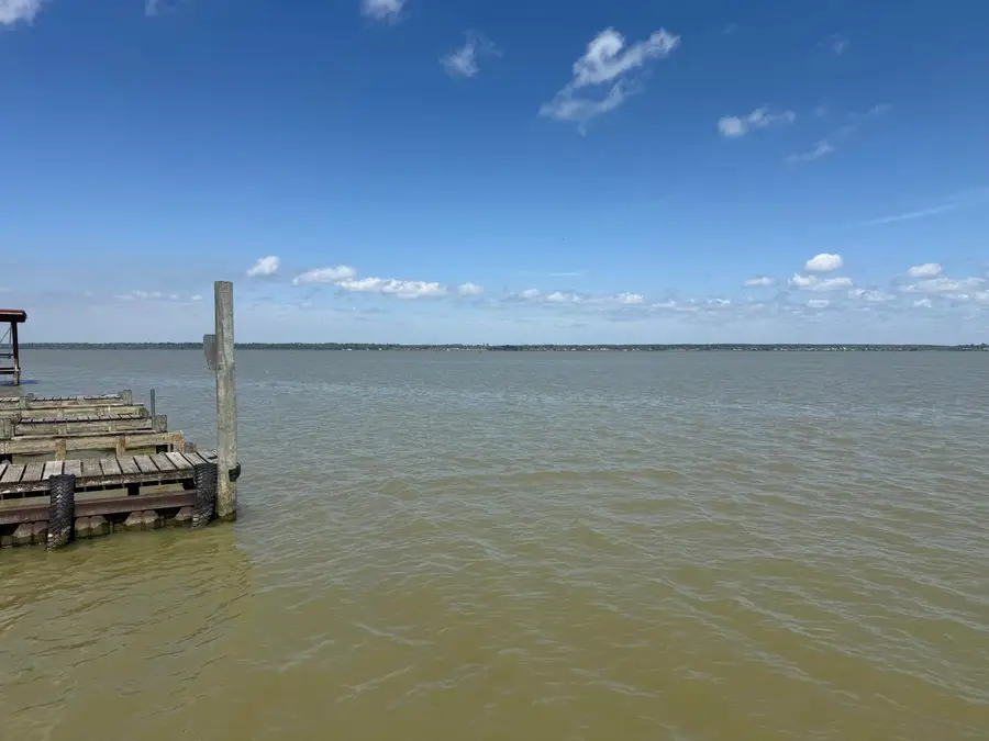 230 E Woodland Shores Drive, Point Blank, TX 77364 - #3