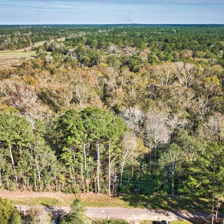 468A & 469B Royal Creek Road, Conroe, TX 77303 - #3