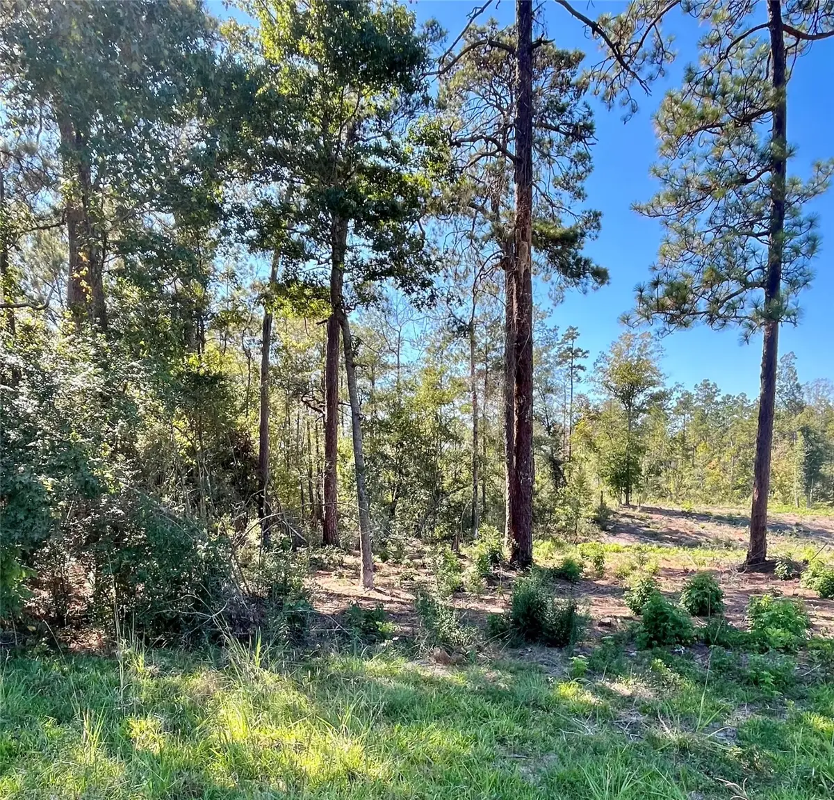 000 County Lane, Moscow, TX 75960 - Image #1