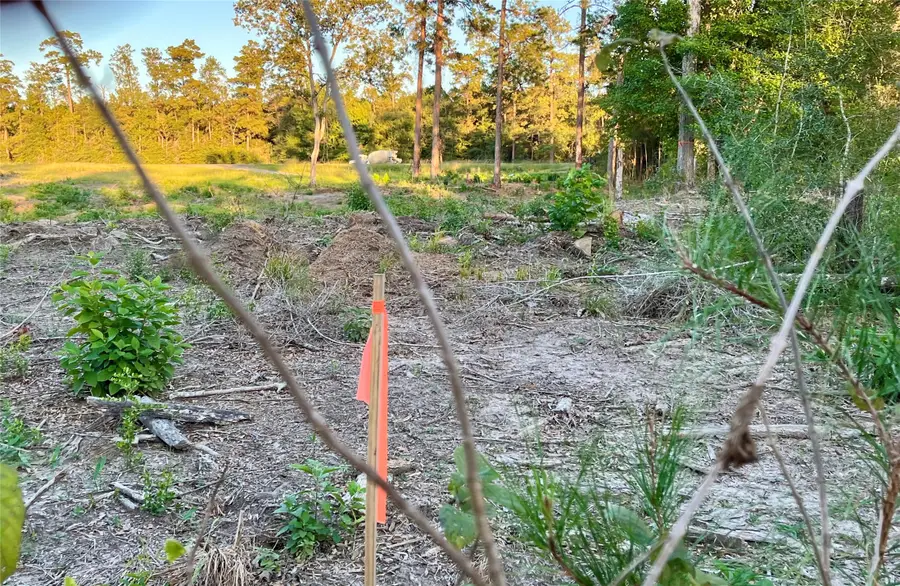 000 County Lane, Moscow, TX 75960 - Image #3