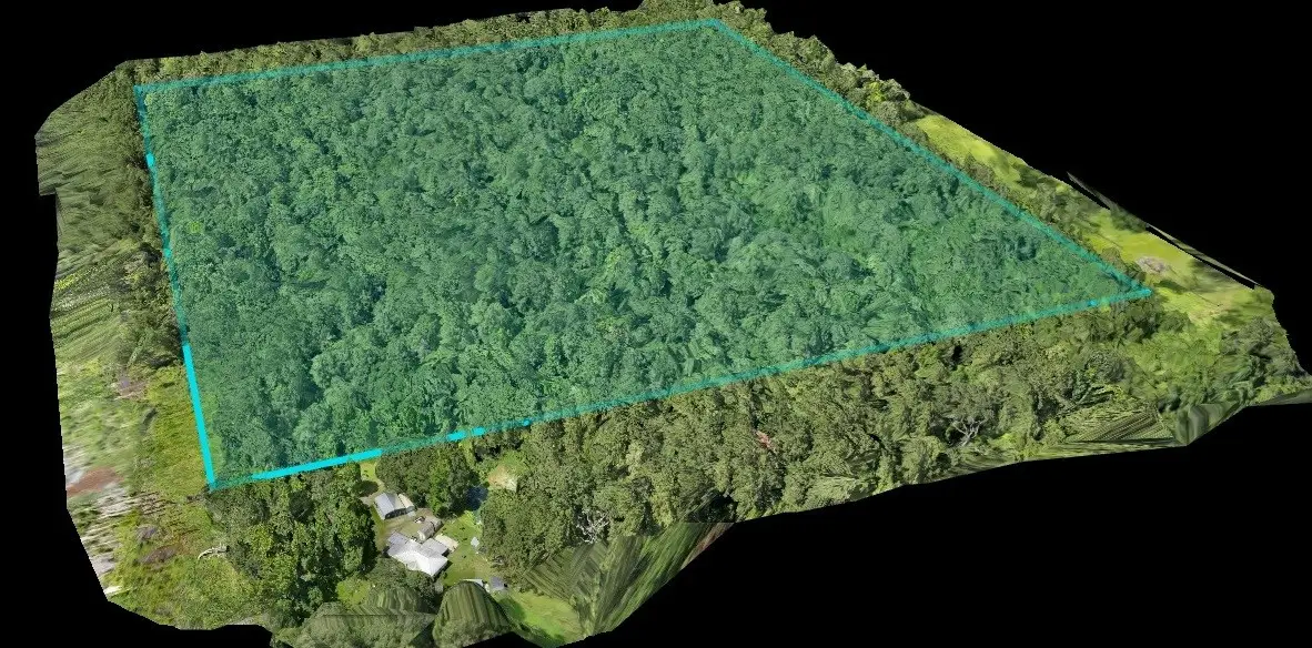 344 County Road 2294, Cleveland, TX 77327 - Image #1