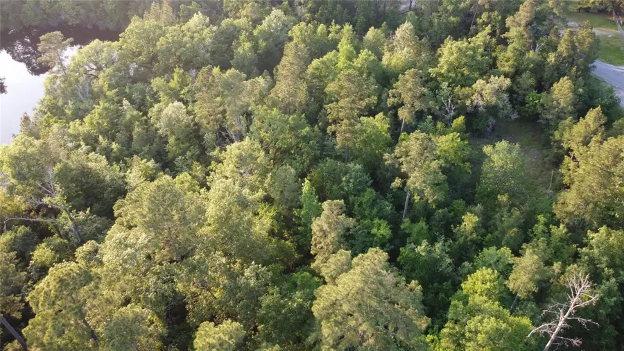 Tract A Lake Road, Riverside, TX 77320 - #2