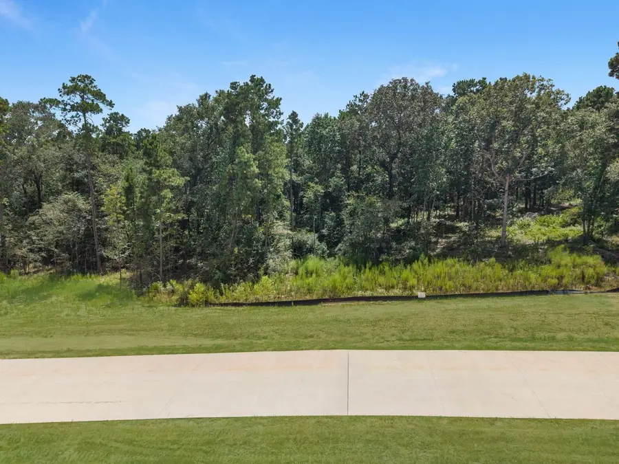 Lot 6 Block 6 Oak Harvest Trail, Willis, TX 77378 - #2