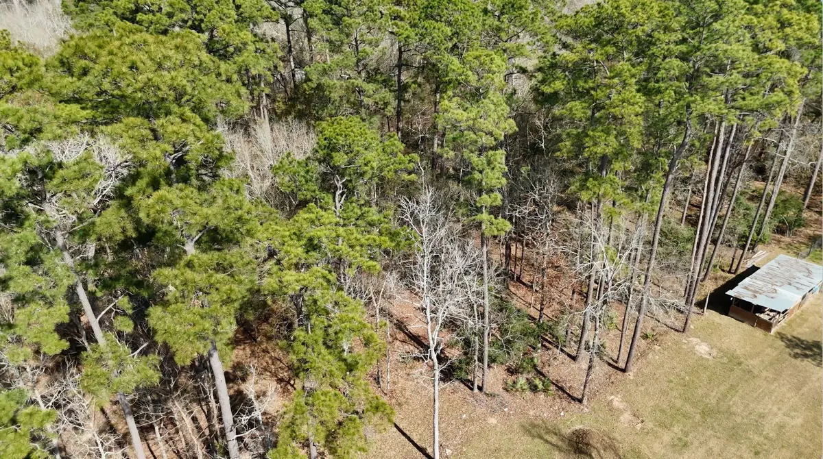 0 Cheatham Road, Huffman, TX 77336 - #1