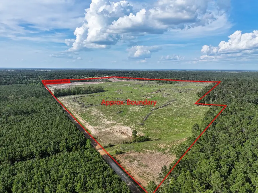 9770 N State Hwy 94, Groveton, TX 75845 - #2