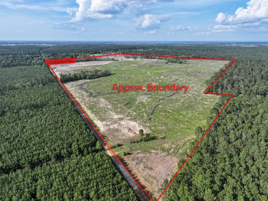 9770 N State Hwy 94, Groveton, TX 75845 - #3