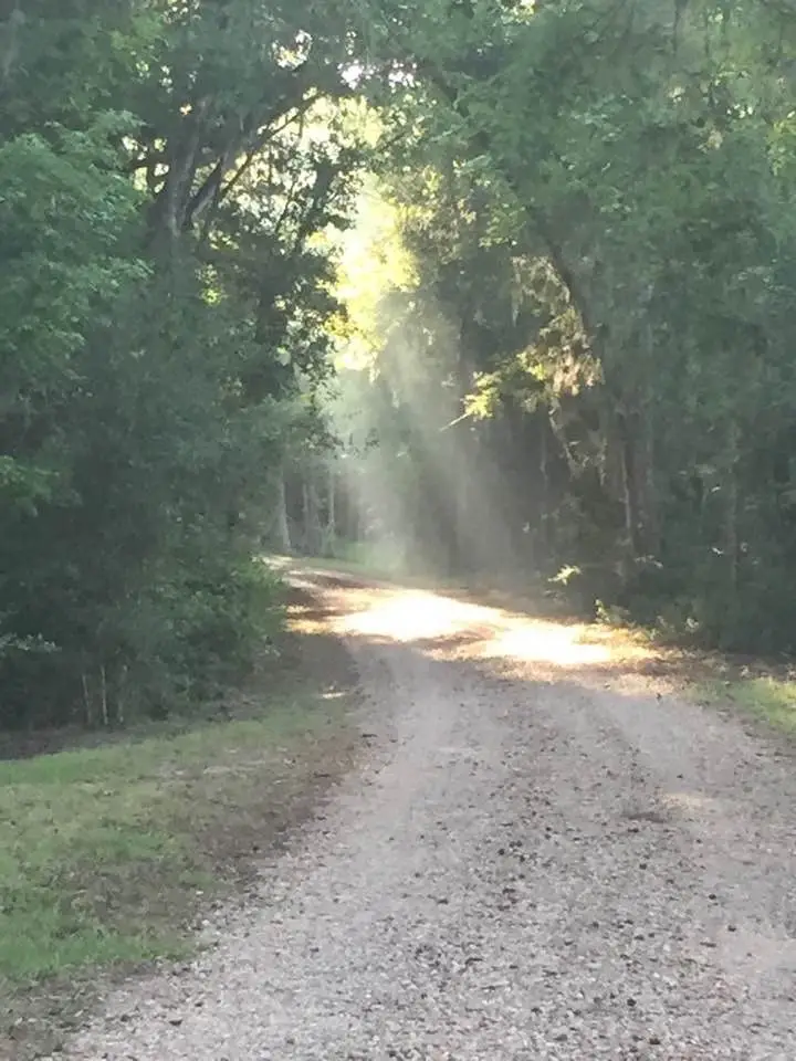 77 Raccoon Ramble, Cleveland, TX 77327 - #3