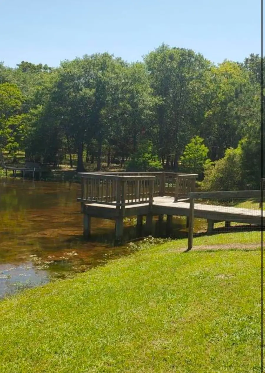 0 Deerwood Dr, Hempstead, TX 77445 - #3