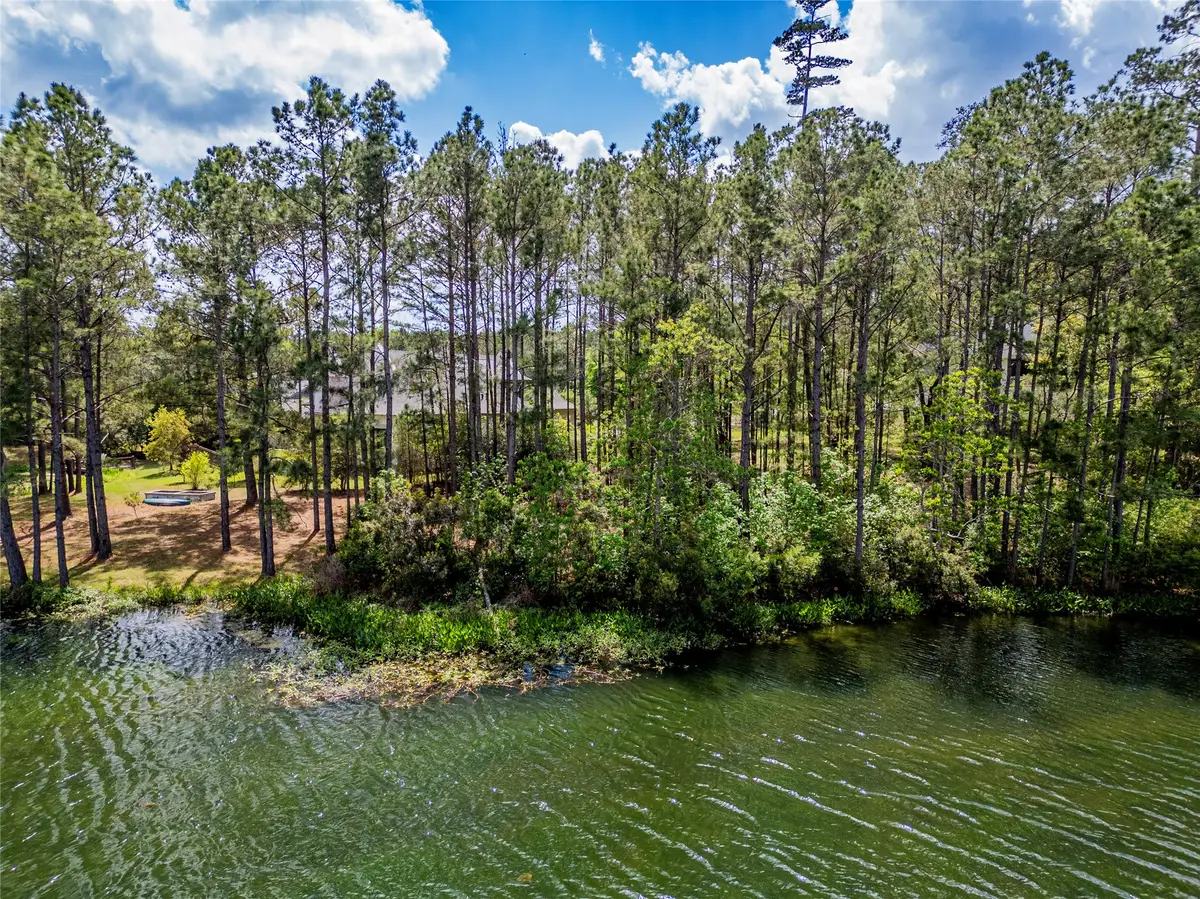 4473 Holly Trail Road, Montgomery, TX 77316 - #1