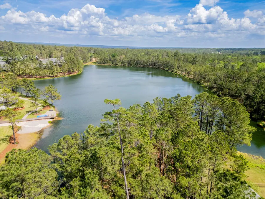 4473 Holly Trail Road, Montgomery, TX 77316 - #3