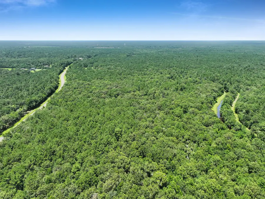 TBD Hwy 61, Anahuac, TX 77514 - #3