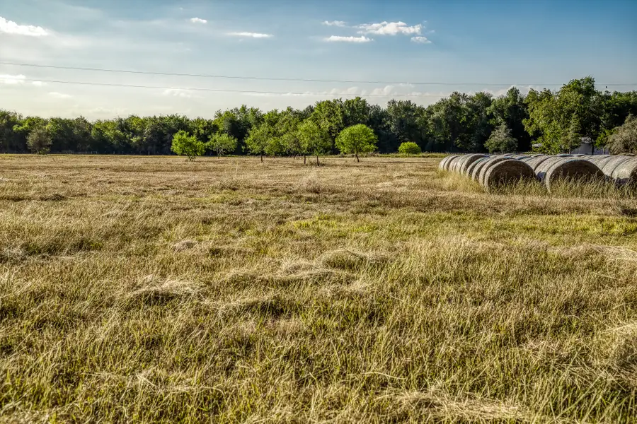 460 County Road 328, Caldwell, TX 77836 - #2