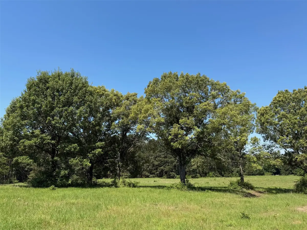 TBD Hwy 75 South, Buffalo, TX 75831 - #1