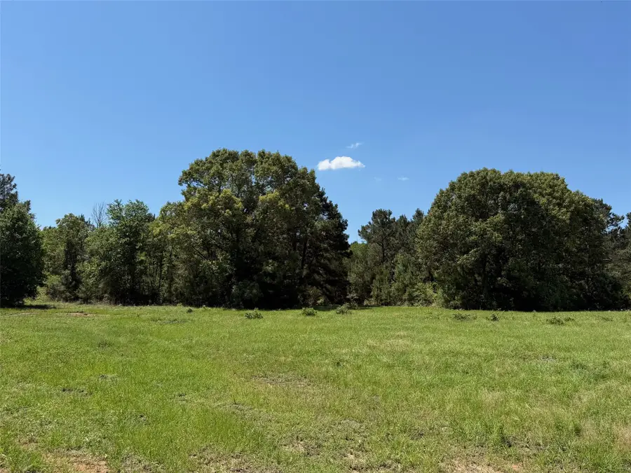 TBD Hwy 75 South, Buffalo, TX 75831 - #3