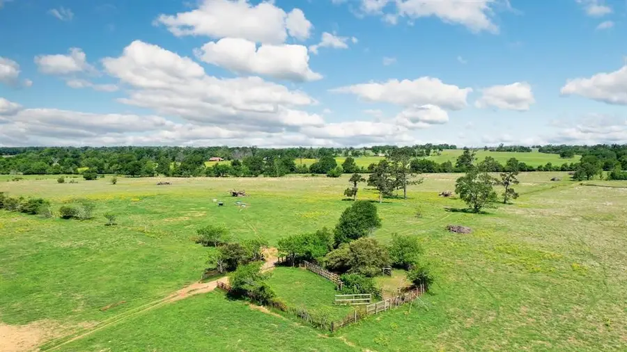 276 AC Fm 977, Leona, TX 77871 - #2