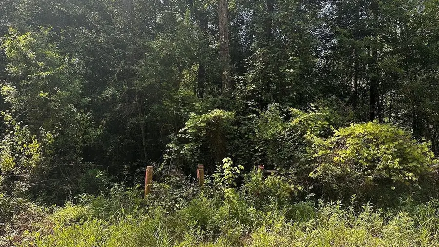 S05350 Wingfield Drive, Lumberton, TX 77657 - #3