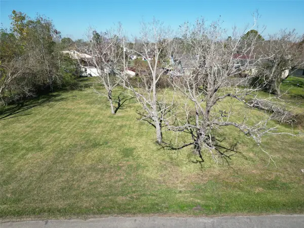 409 Carlton Street, Brazoria, TX 77422