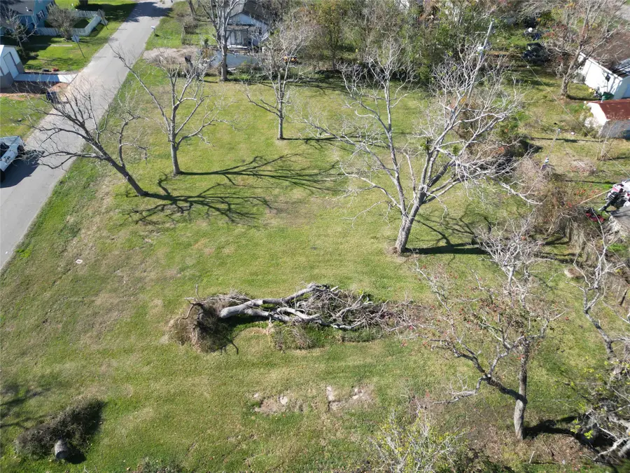 409 Carlton Street, Brazoria, TX 77422 - #3