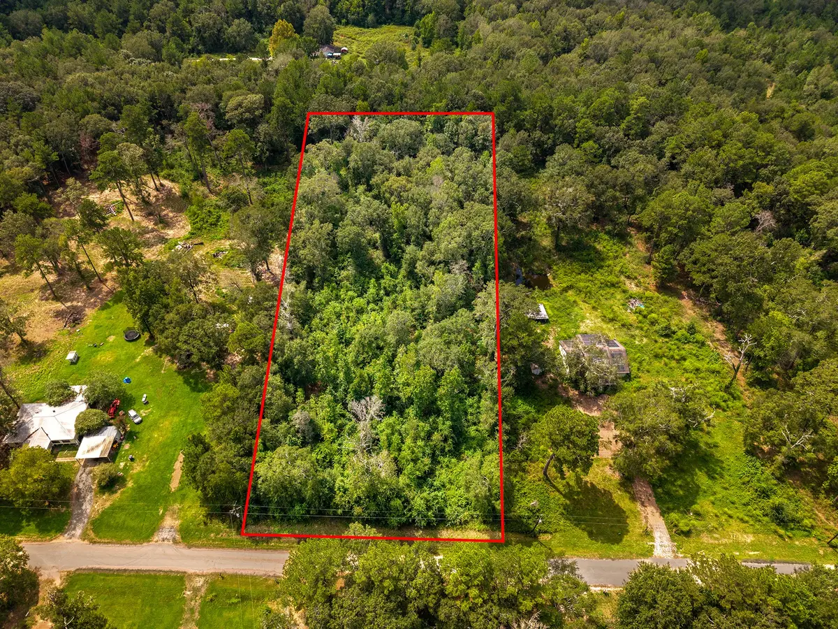 TBD Oak Fork Drive, Shepherd, TX 77371 - #1