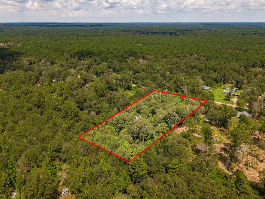 TBD Oak Fork Drive, Shepherd, TX 77371 - #3