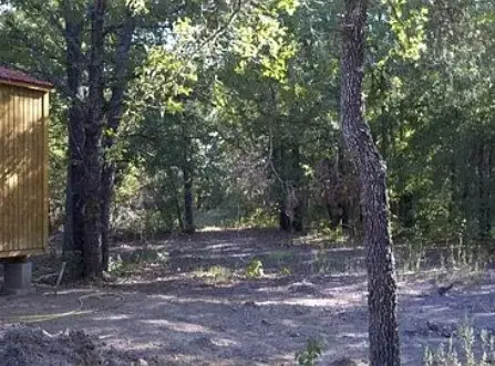 12184 Private Road 2350, Oakwood, TX 75855 - #3