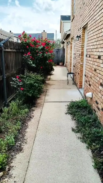 6201 Beverlyhill Street #8, Houston, TX 77057 - #3