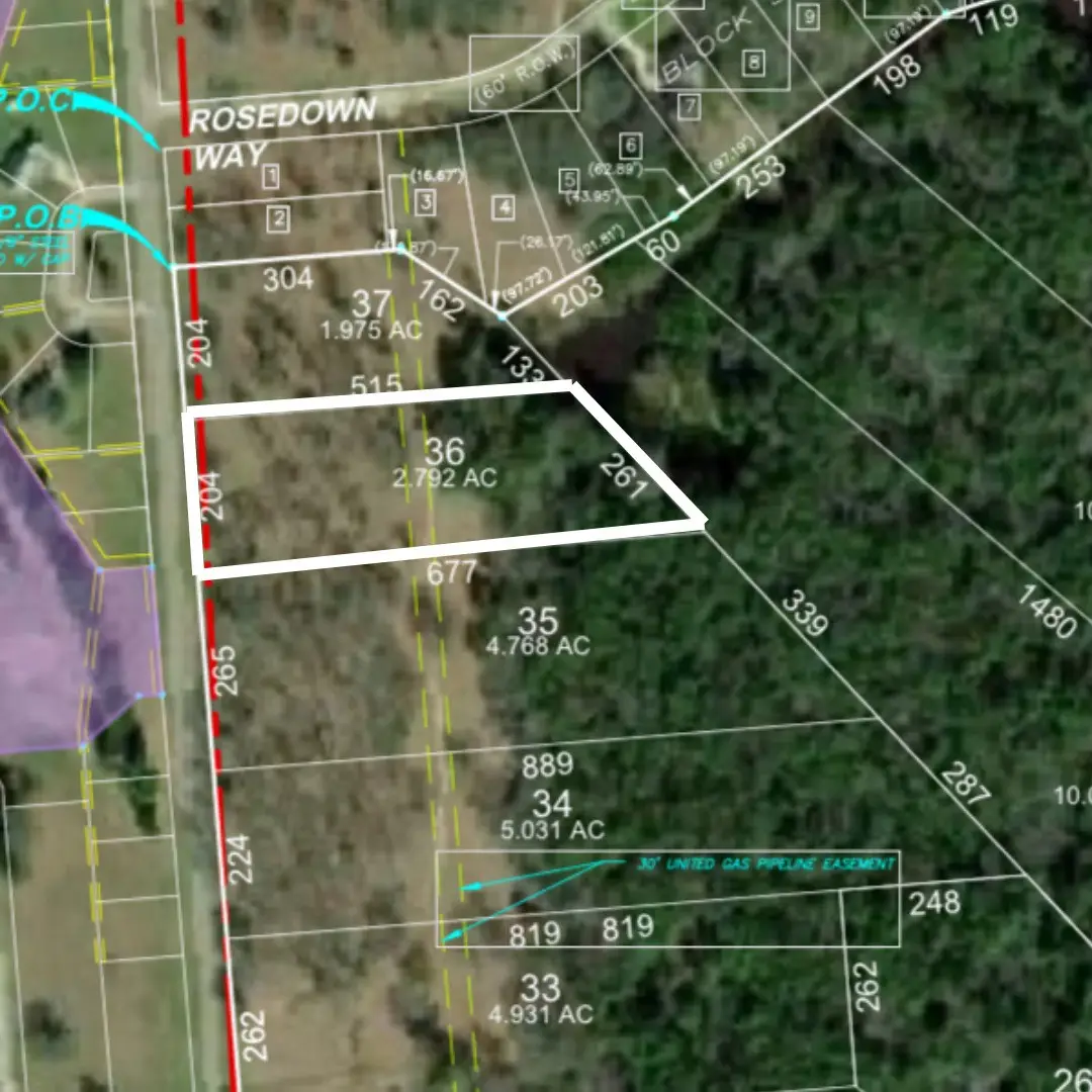 Lot 36 Lake Livingston Lane, Trinity, TX 75862 - Image #1