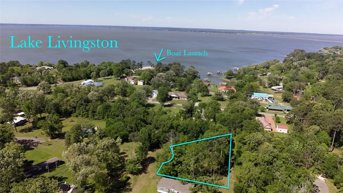 TBD Pine Grove Drive, Onalaska, TX 77360 - #1