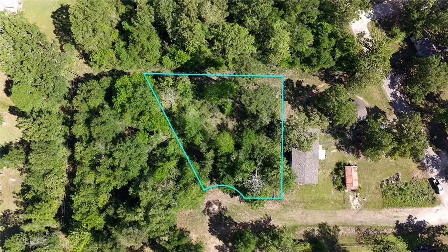 TBD Pine Grove Drive, Onalaska, TX 77360 - #2