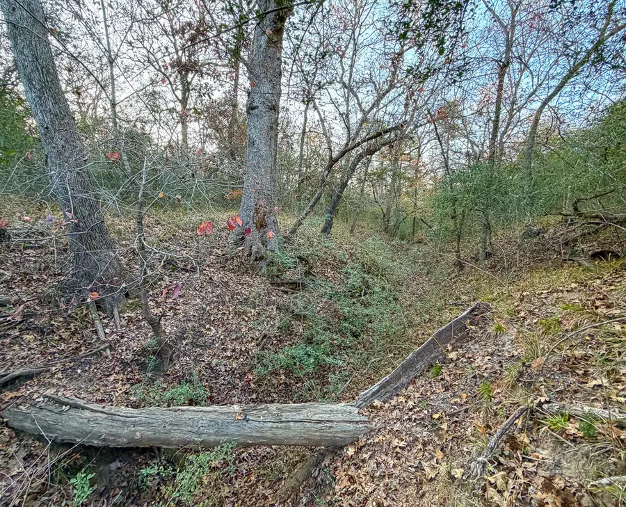 TBD Jack Rabbit Lane, Bryan, TX 77808 - Image #3